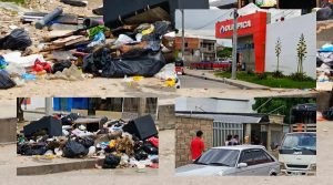 Basurero Adela de Char y Olimpica